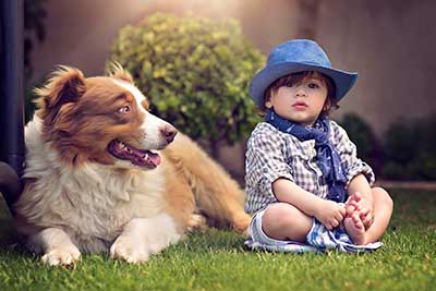 shepherd_2