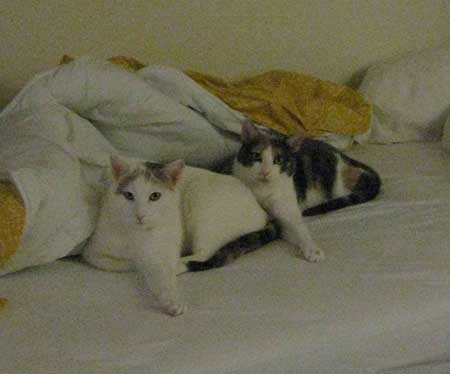 best_friends_3