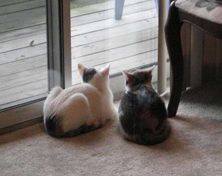 best_friends_6