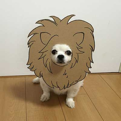 cosplay_3