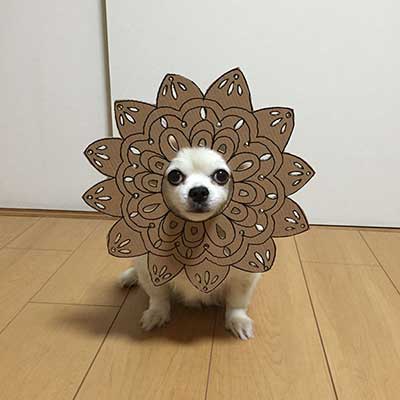 cosplay_7