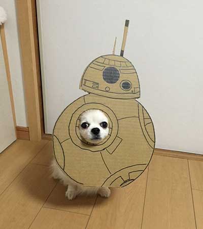 cosplay_9