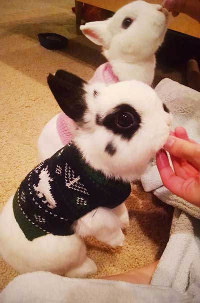 sweater_4